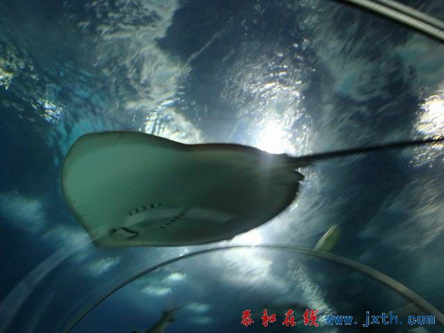 С DSC09732.JPG