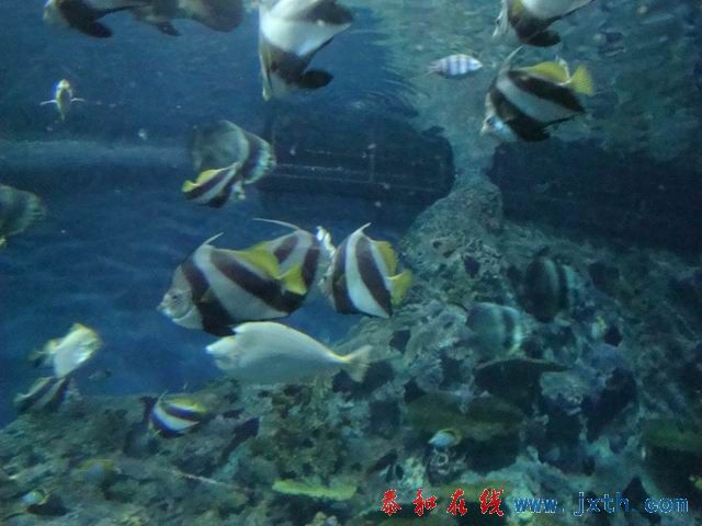 С DSC09741.JPG