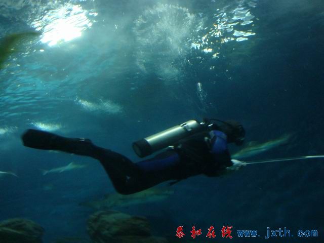 С DSC09731.JPG
