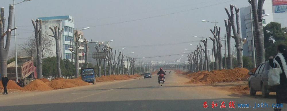 SDC11236.jpg