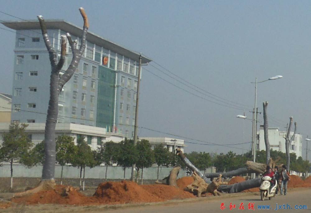 SDC11241.jpg