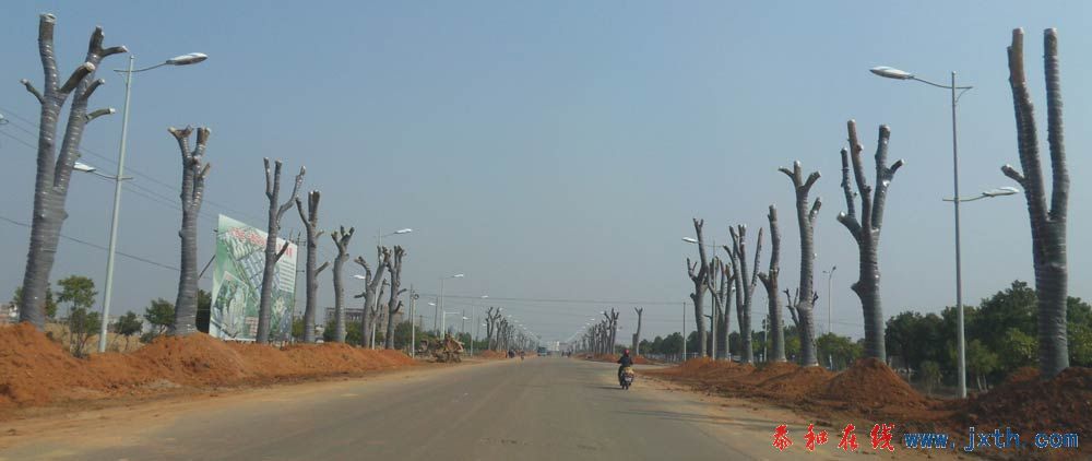SDC11248.jpg