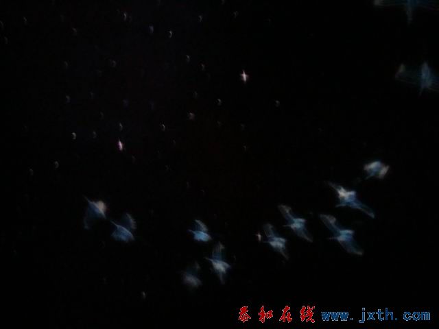 С DSC09854.JPG