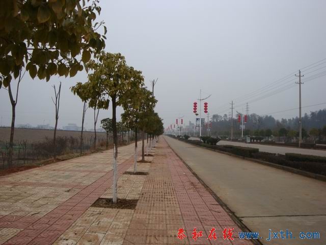 С DSC00156.JPG
