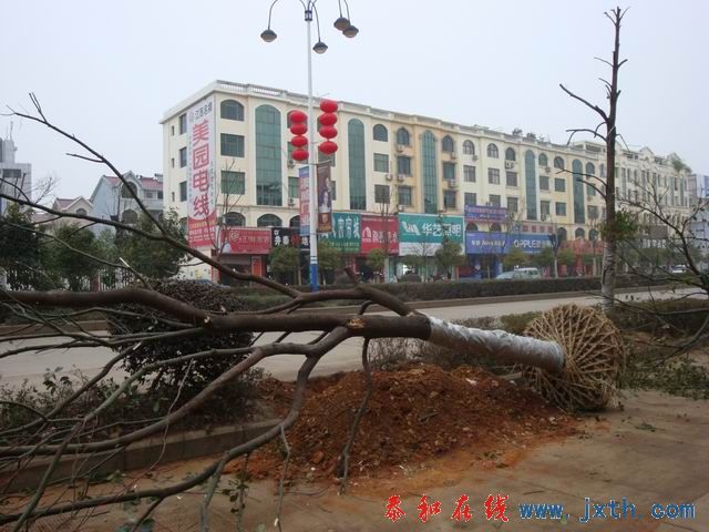 С DSC00132.JPG