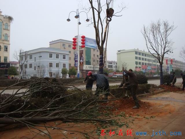 С DSC00134.JPG