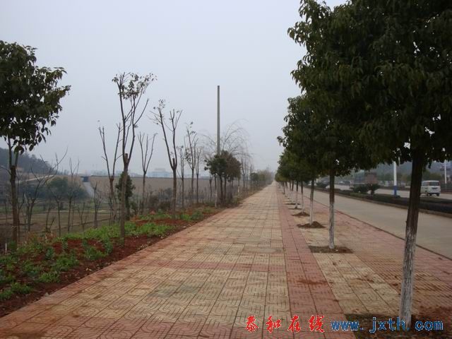 С DSC00153.JPG