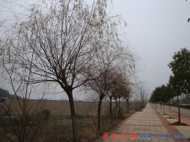 С DSC00157.JPG