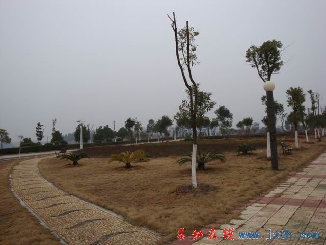 С DSC00165.JPG