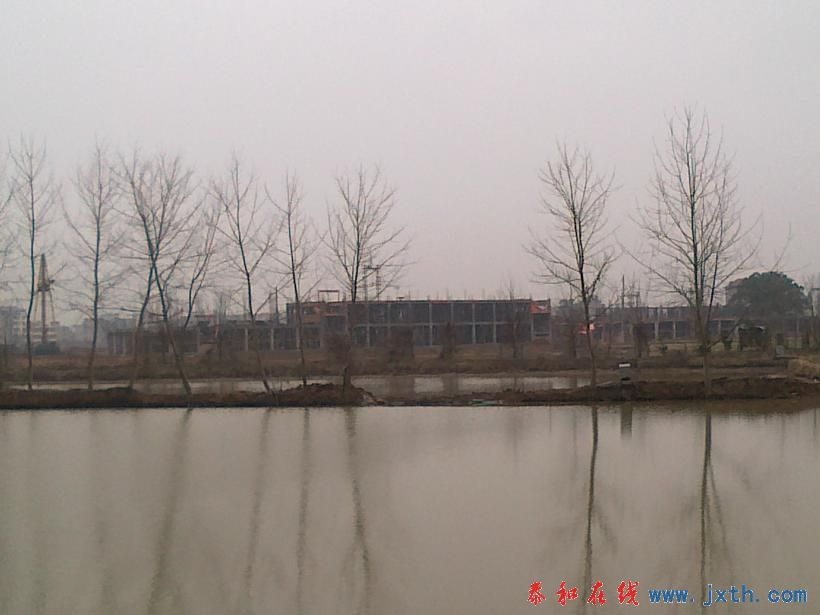 20110128339.jpg