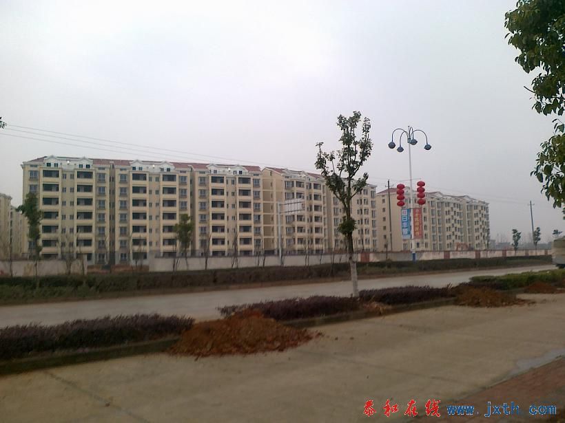 20110128336.jpg