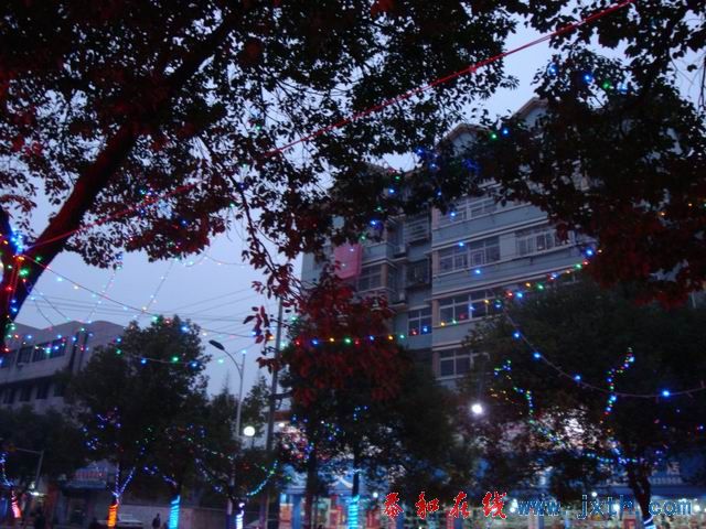 С DSC00208.JPG