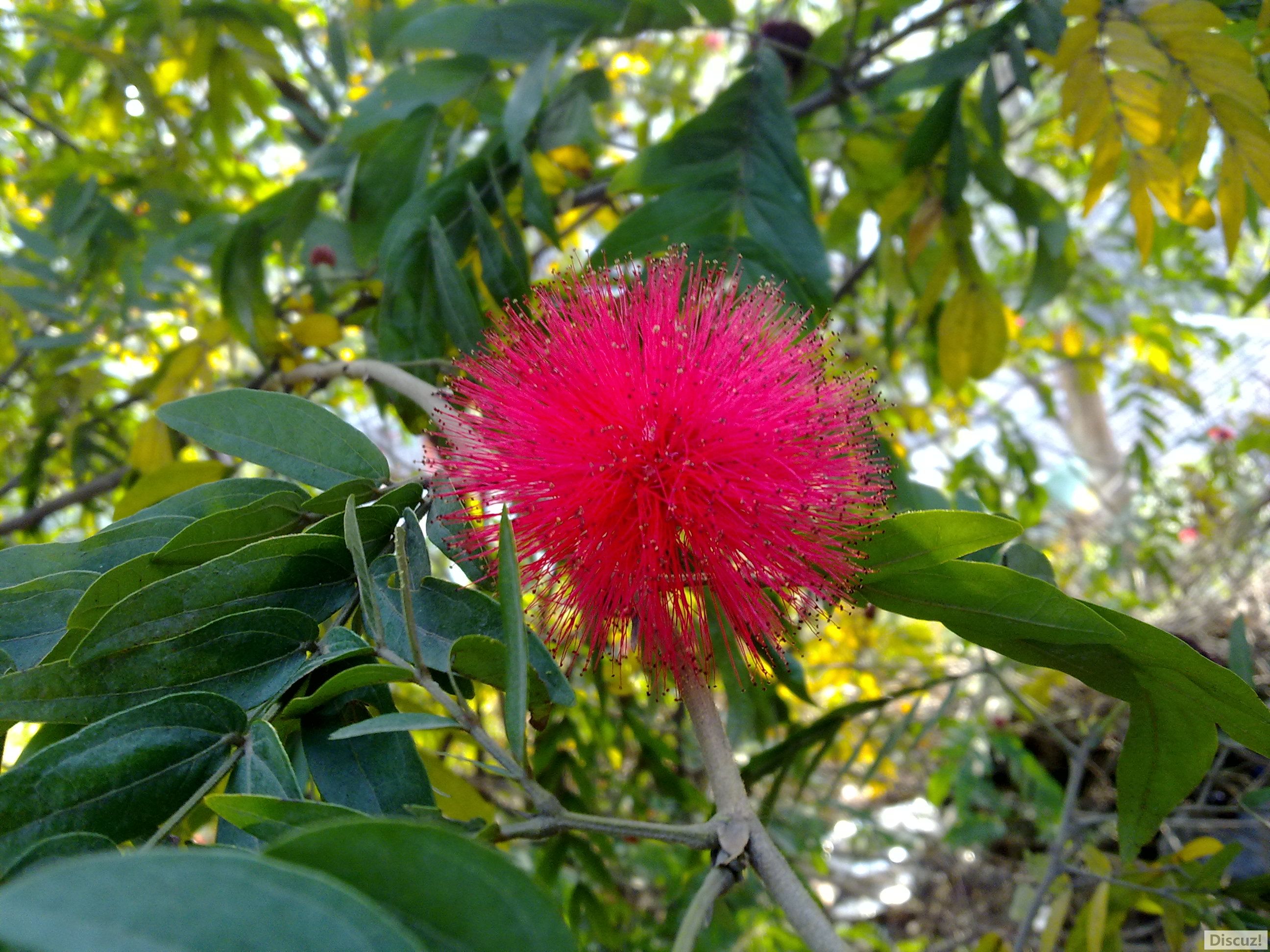 20110204680.jpg