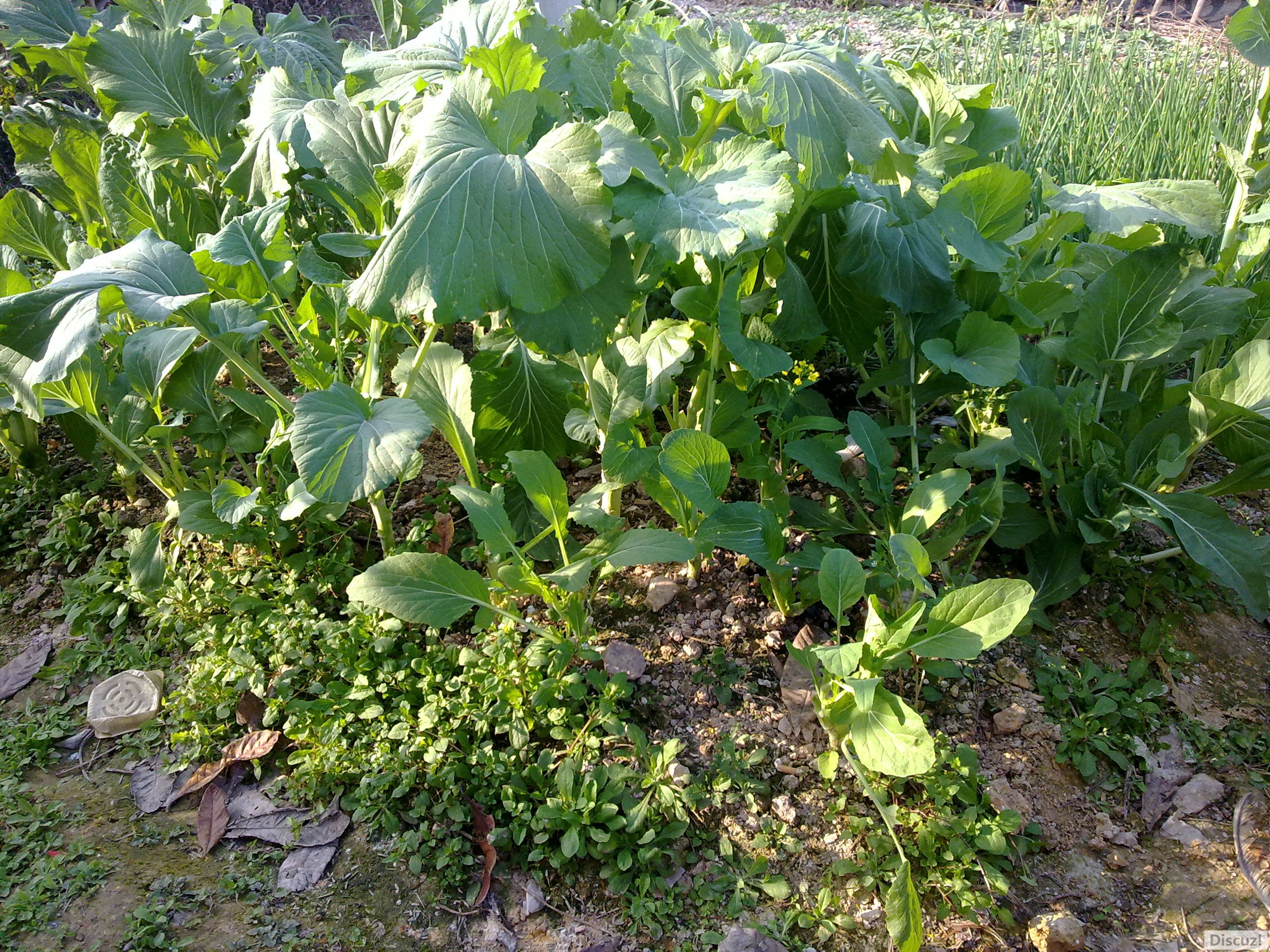 20110206713.jpg