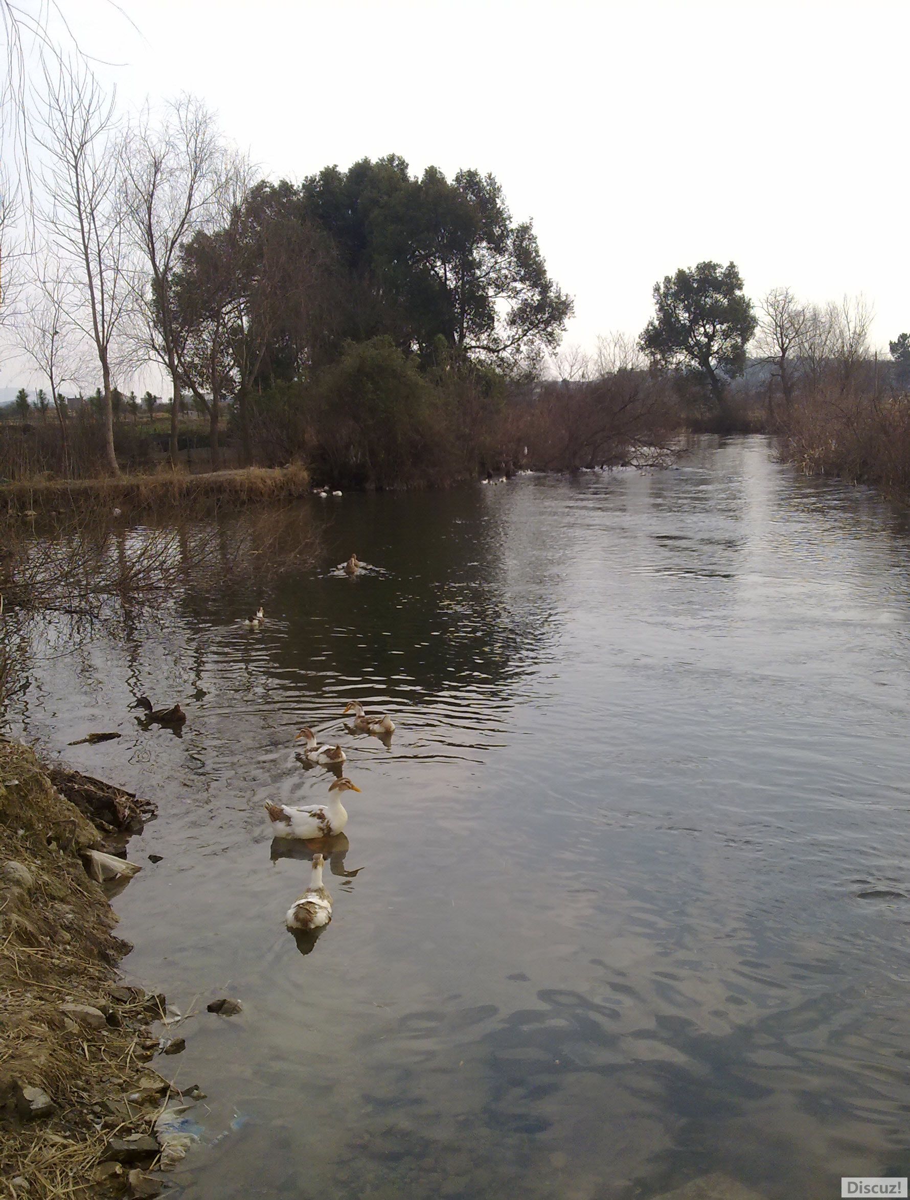 20110209719.jpg