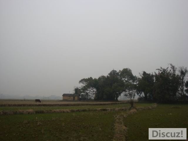 С DSC00432.JPG