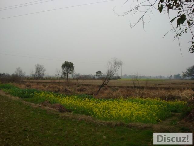 С DSC00398.JPG