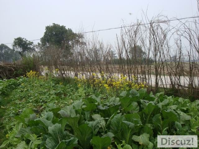 С DSC00404.JPG