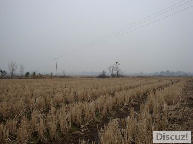 С DSC00413.JPG