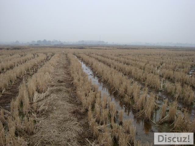 С DSC00414.JPG