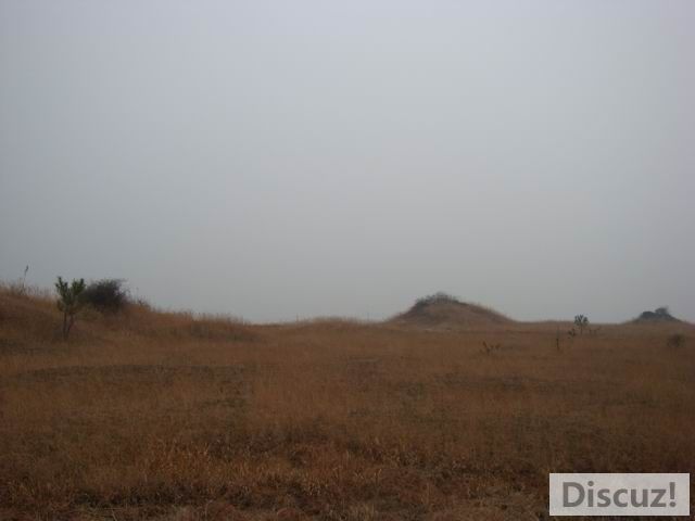 С DSC00415.JPG