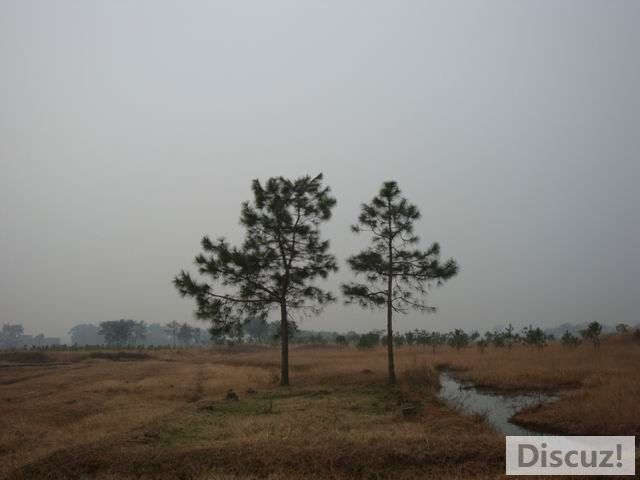 С DSC00416.JPG
