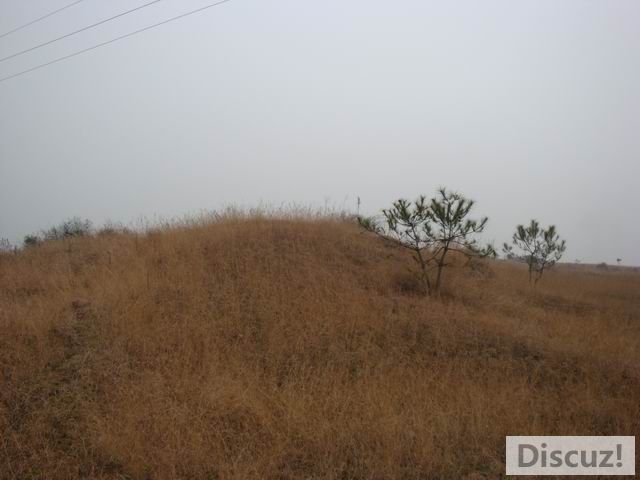 С DSC00417.JPG