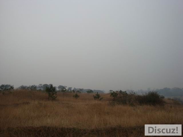 С DSC00418.JPG