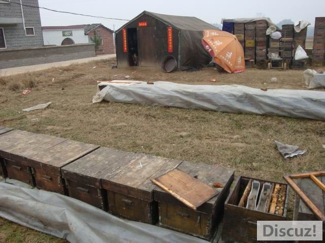 С DSC00421.JPG