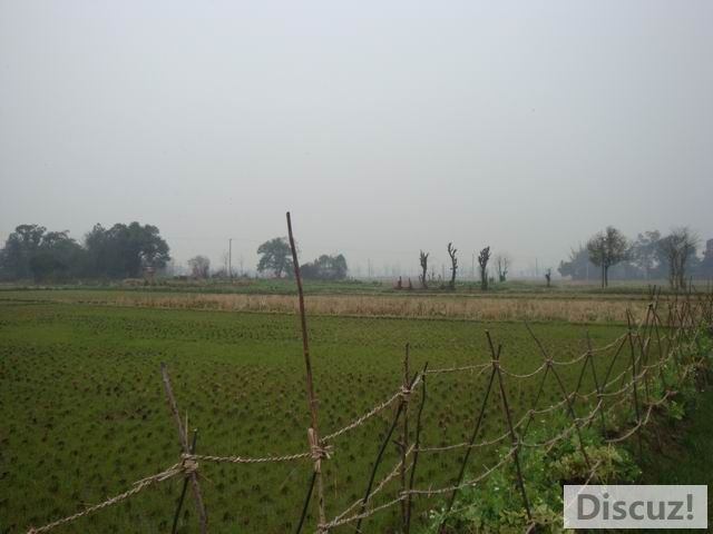 С DSC00434.JPG