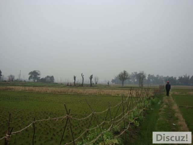 С DSC00435.JPG