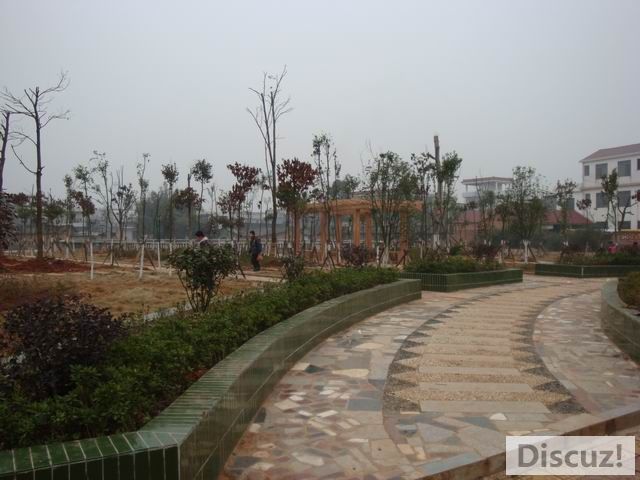 С DSC00451.JPG