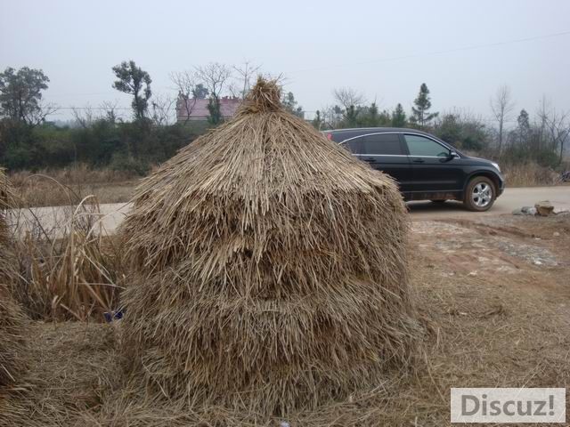 С DSC00470.JPG