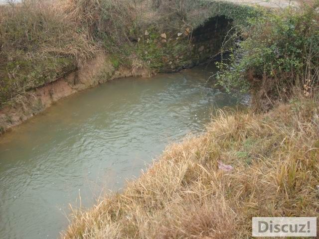 С DSC00473.JPG