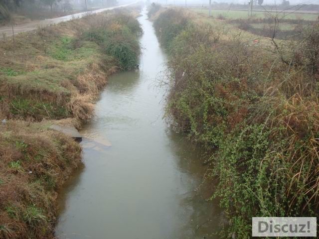 С DSC00475.JPG