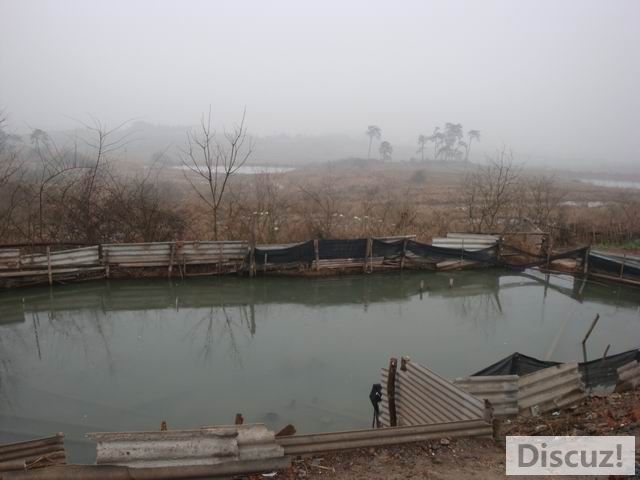 С DSC00476.JPG