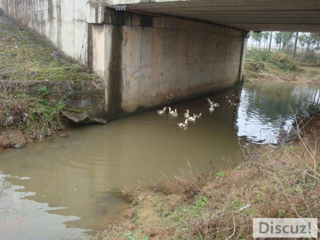 С DSC00499.JPG