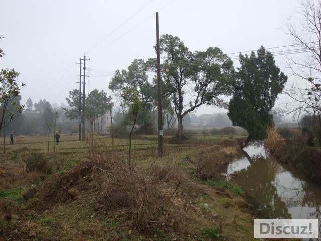 С DSC00500.JPG