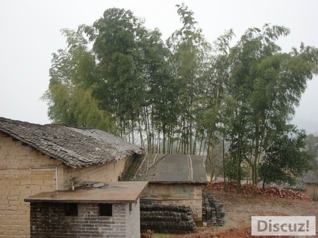 С DSC00505.JPG