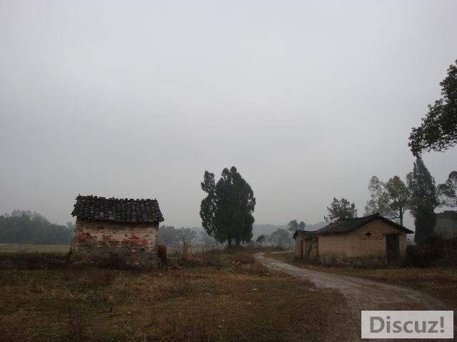С DSC00506.JPG