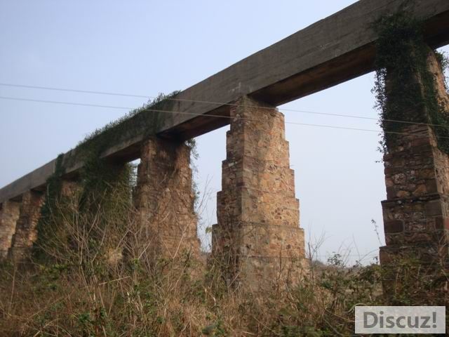 С DSC00511.JPG