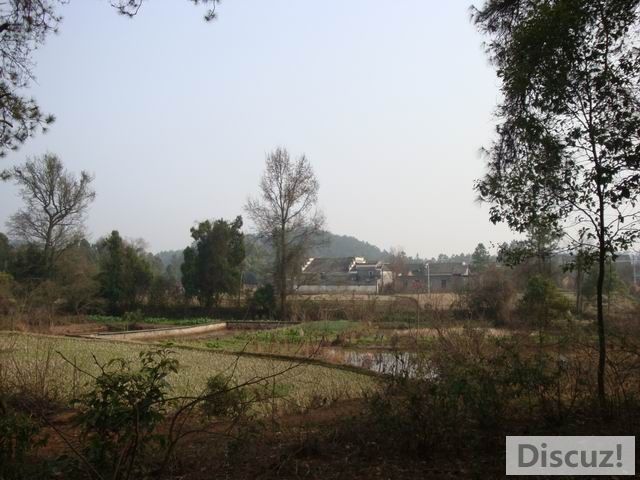 С DSC00516.JPG
