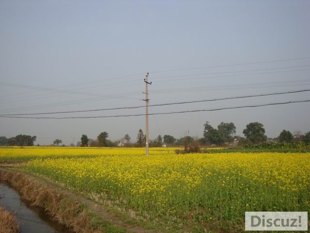 С DSC00518.JPG