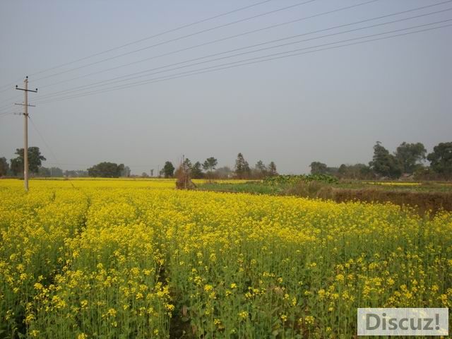 С DSC00521.JPG
