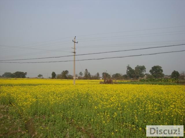 С DSC00519.JPG