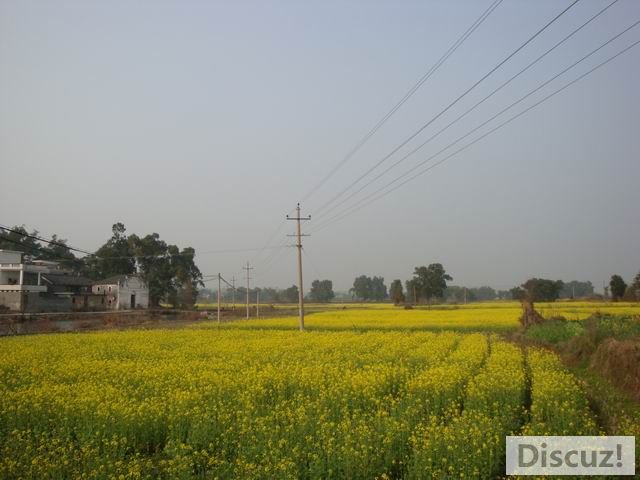 С DSC00524.JPG