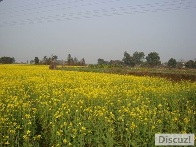 С DSC00527.JPG