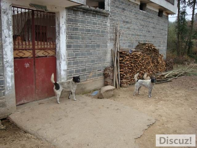 С DSC00560.JPG