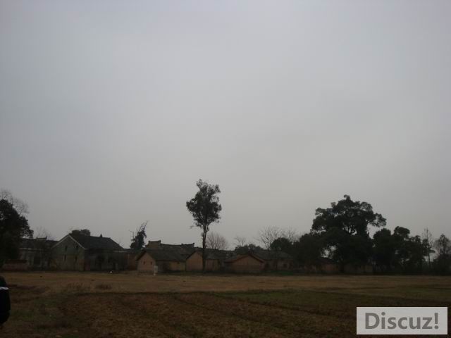 С DSC00572.JPG