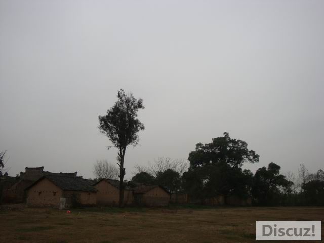 С DSC00573.JPG